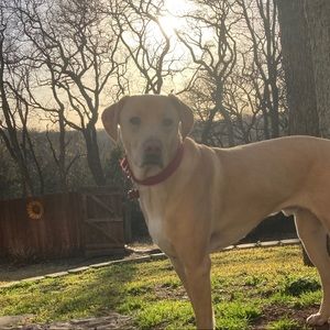 Meet your Posher, Kristy